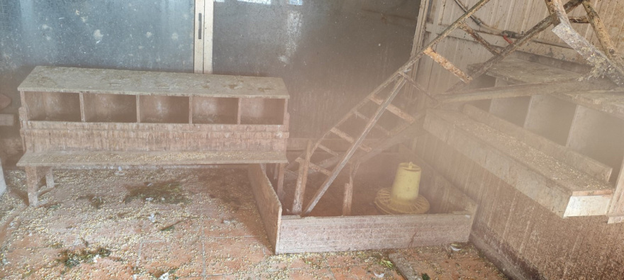 «Δεν έχουμε κάνει τίποτα παράνομο, στο ίδιο κτίριο στεγάζεται κι ο ΕΦΕΤ» λέει η οικογένεια με το κοτέτσι και τη στάνη στην ταράτσα των Αμπελοκήπων