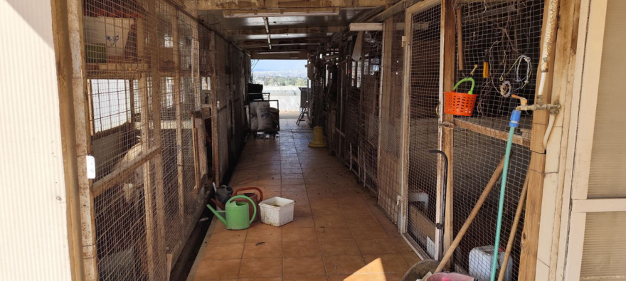 «Δεν έχουμε κάνει τίποτα παράνομο, στο ίδιο κτίριο στεγάζεται κι ο ΕΦΕΤ» λέει η οικογένεια με το κοτέτσι και τη στάνη στην ταράτσα των Αμπελοκήπων