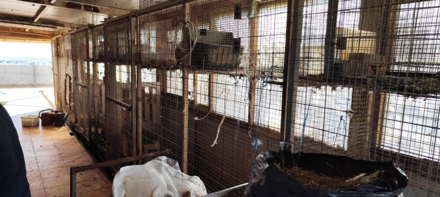 «Δεν έχουμε κάνει τίποτα παράνομο, στο ίδιο κτίριο στεγάζεται κι ο ΕΦΕΤ» λέει η οικογένεια με το κοτέτσι και τη στάνη στην ταράτσα των Αμπελοκήπων