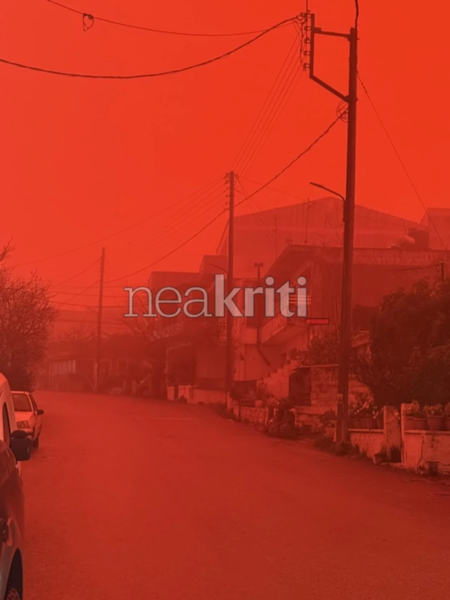 afrikaniki-skoni6-800x0