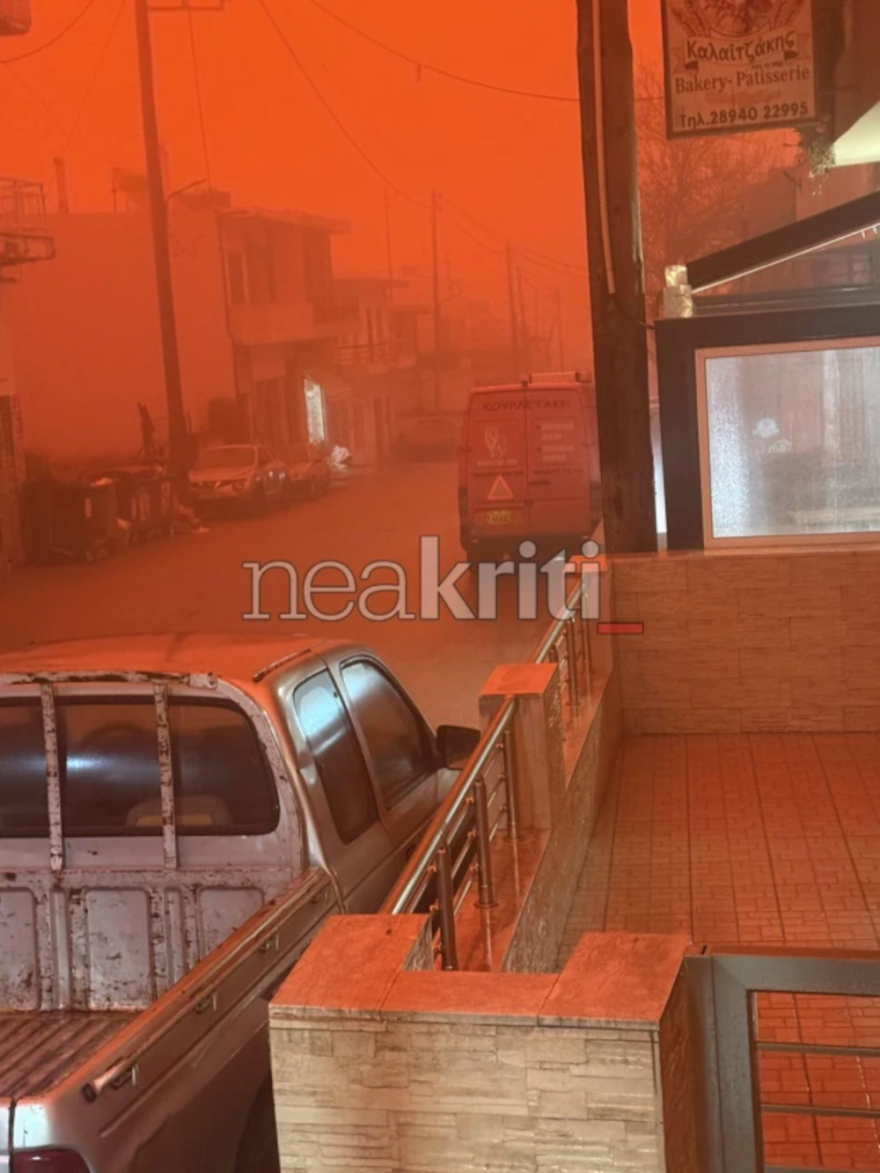 afrikaniki-skoni6-80x500