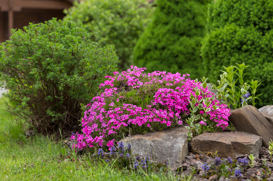 Ροζ πανσέληνος στις 2/4, η πρώτη της άνοιξης - Τι συμβολίζει