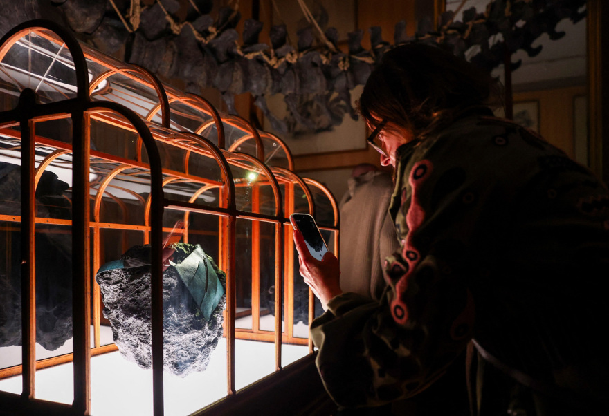 Τσάντα από καλλιεργημένο δέρμα... τυραννόσαυρου θα δημοπρατηθεί στο Άμστερνταμ, δείτε φωτογραφίες