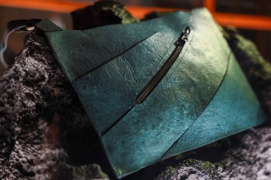 Τσάντα από καλλιεργημένο δέρμα... τυραννόσαυρου θα δημοπρατηθεί στο Άμστερνταμ, δείτε φωτογραφίες