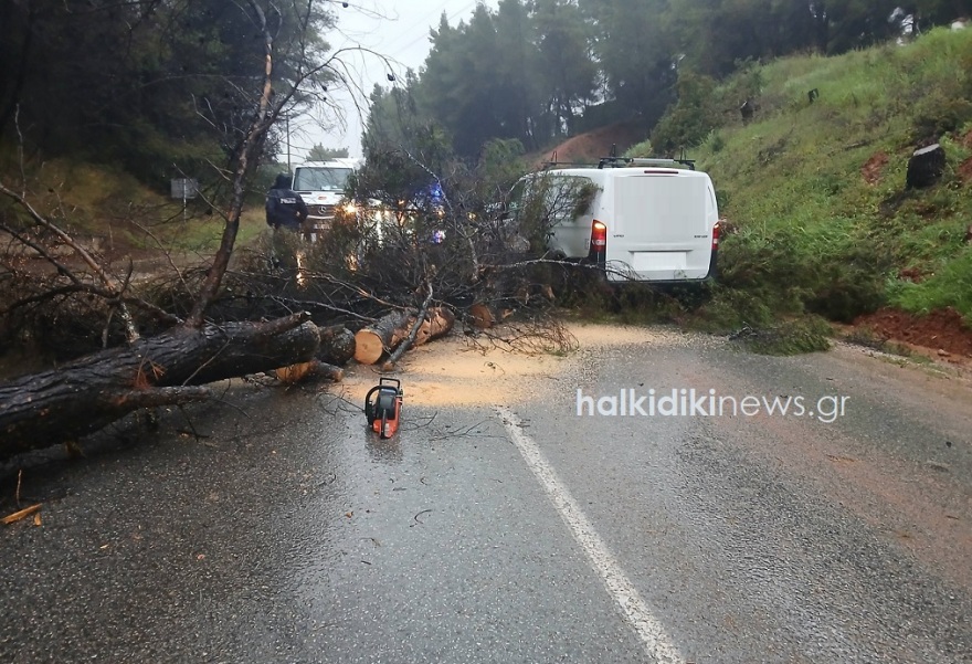 Τροχαία, κατολισθήσεις και διακοπή κυκλοφορίας λόγω της κακοκαιρίας «Erminio» στη Χαλκιδική, δείτε φωτογραφίες
