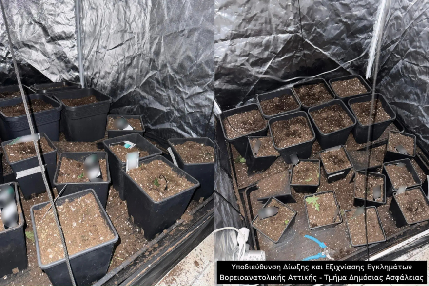 Εξαρθρώθηκε συμμορία που έκλεβε καταστήματα ηλεκτρονικών ειδών, πώς δρούσαν
