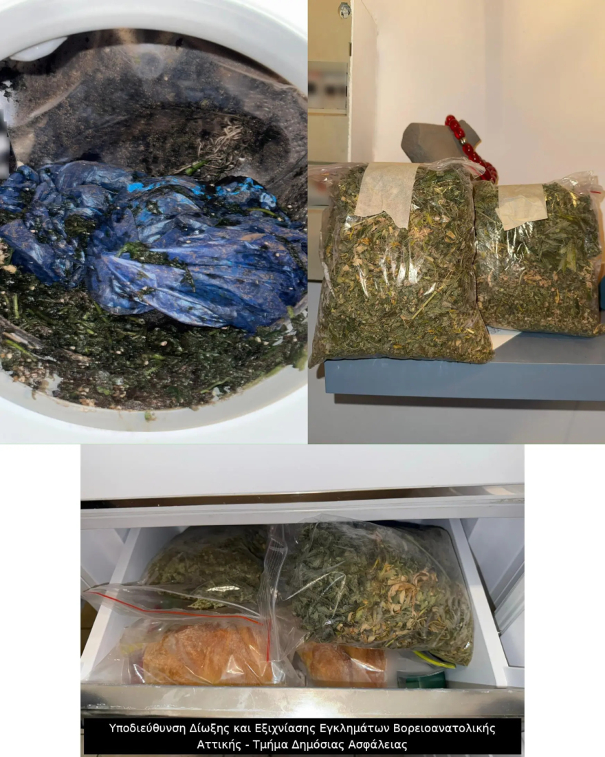 Εξαρθρώθηκε συμμορία που έκλεβε καταστήματα ηλεκτρονικών ειδών, πώς δρούσαν
