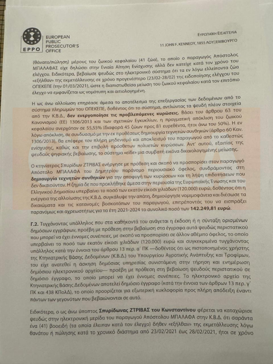 ΟΠΕΚΕΠΕ: Κακούργημα η πλαστογραφία της Παπακώστα για... 42 βόδια - Τι αναφέρει το πόρισμα της Ευρωπαϊκής Εισαγγελίας για Λιβανό και Καραμανλή