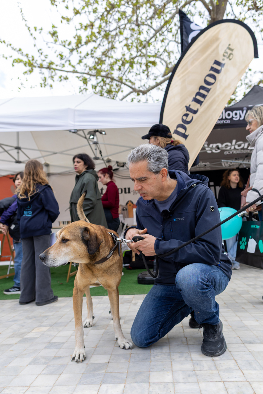 Υιοθεσίες, χοροί και δράσεις σε μια γιορτή γεμάτη χαρούμενα κατοικίδια στο Woof Festival 2026 από topetmou.gr