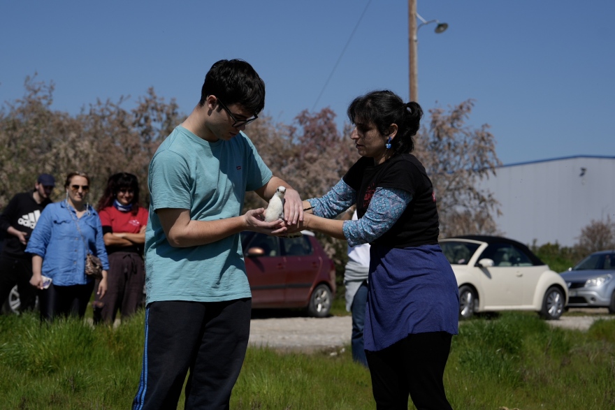 Θεσσαλονίκη: 12 Άγρια πουλιά επανεντάχθηκαν σε Καλοχώρι και Κορώνεια, δείτε φωτογραφίες
