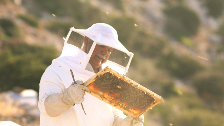 Cycladic Identity: Εκδηλώσεις στην Πάρο για την τοπική κοινωνία  18 και 19 Απριλίου
