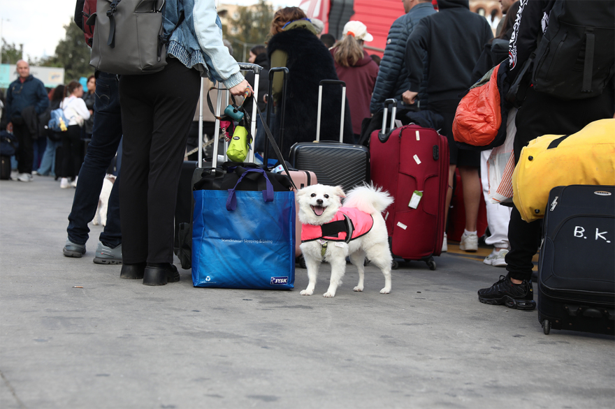 Live η κίνηση στους δρόμους: 45λεπτες καθυστερήσεις στην Αττική Οδό, κίνηση σε Κηφισό,  Αθηνών - Κορίνθου και Πειραιά