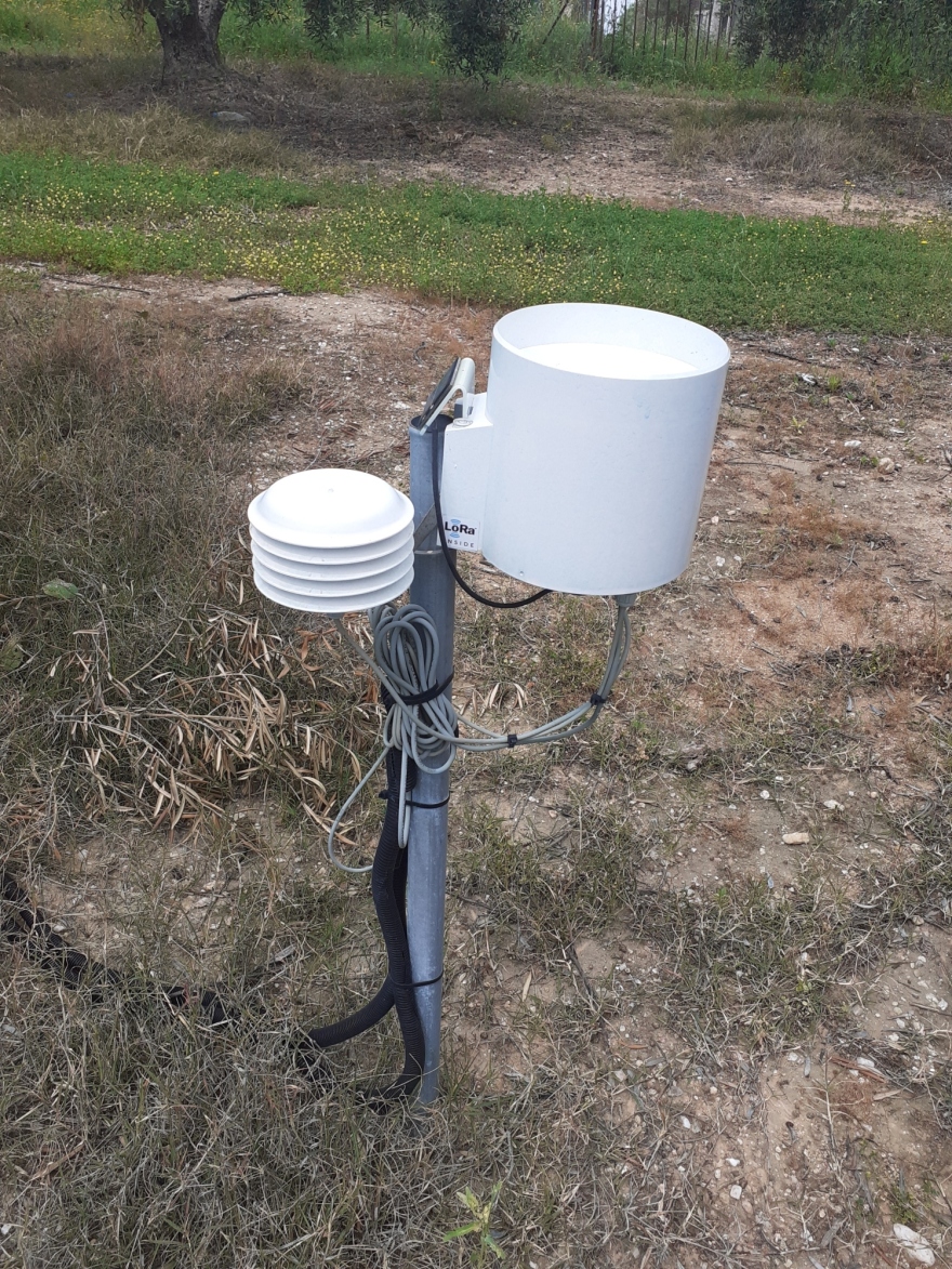 Αγουρέλαιο Χαλκιδικής: Καινοτόμo πρωτόκολλο παραγωγής με ευφυή συστήματα «εκτοξεύει» τις δυνατότητες των ελαιοκαλλιεργητών