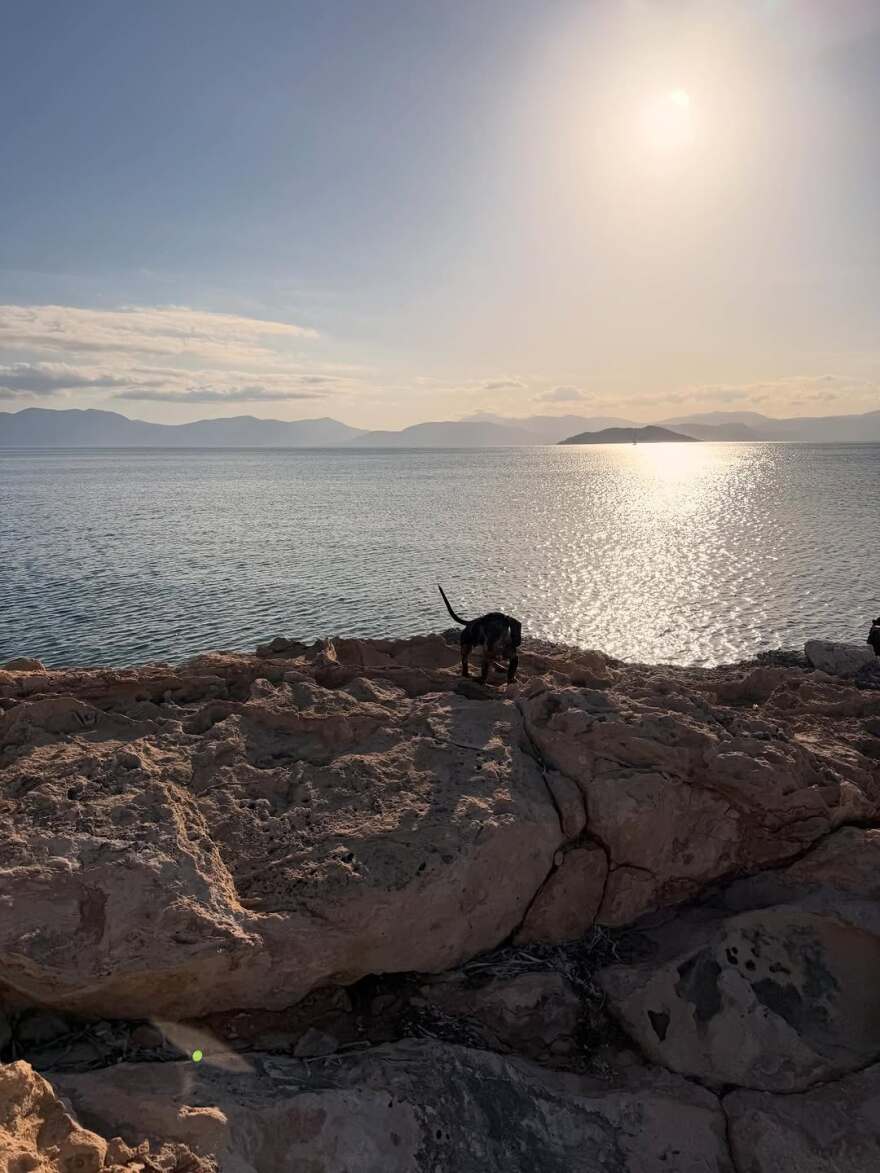 Η Κατερίνα Παπουτσάκη πόζαρε με μαγιό σε παραλία στο Αγκίστρι
