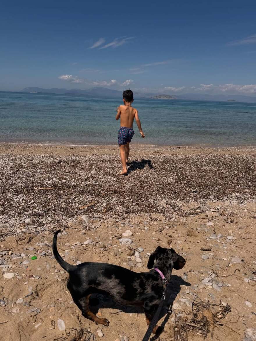 Η Κατερίνα Παπουτσάκη πόζαρε με μαγιό σε παραλία στο Αγκίστρι
