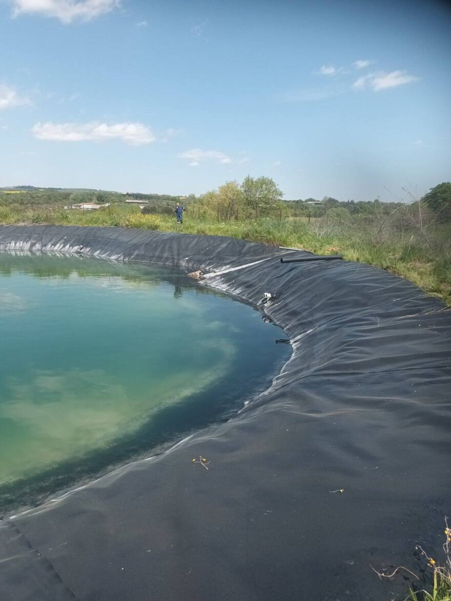 Διάσωση έξι σκύλων από ταμιευτήρα άρδευσης στην Κατερίνα, δείτε βίντεο και φωτογραφίες