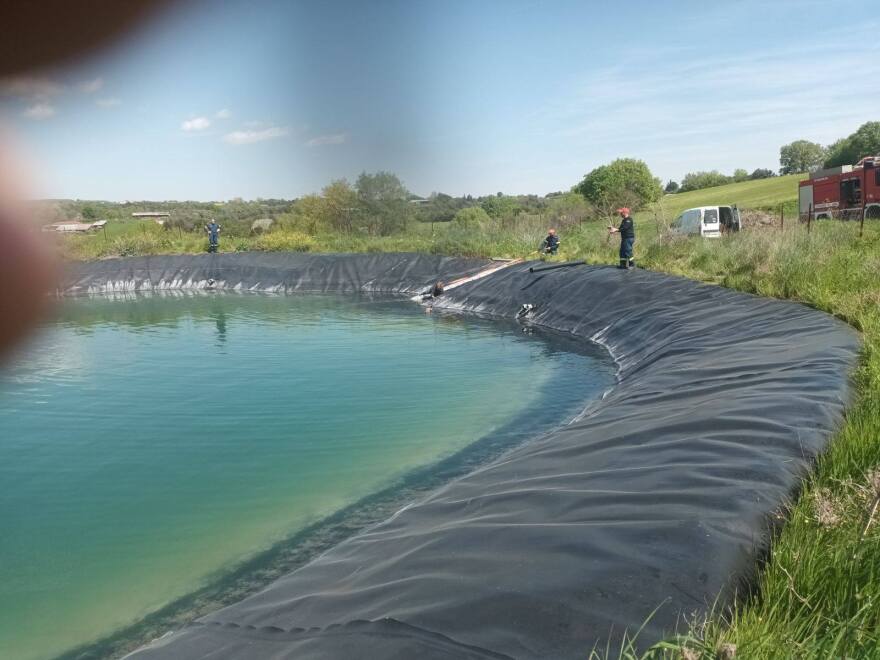 Διάσωση έξι σκύλων από ταμιευτήρα άρδευσης στην Κατερίνα, δείτε βίντεο και φωτογραφίες