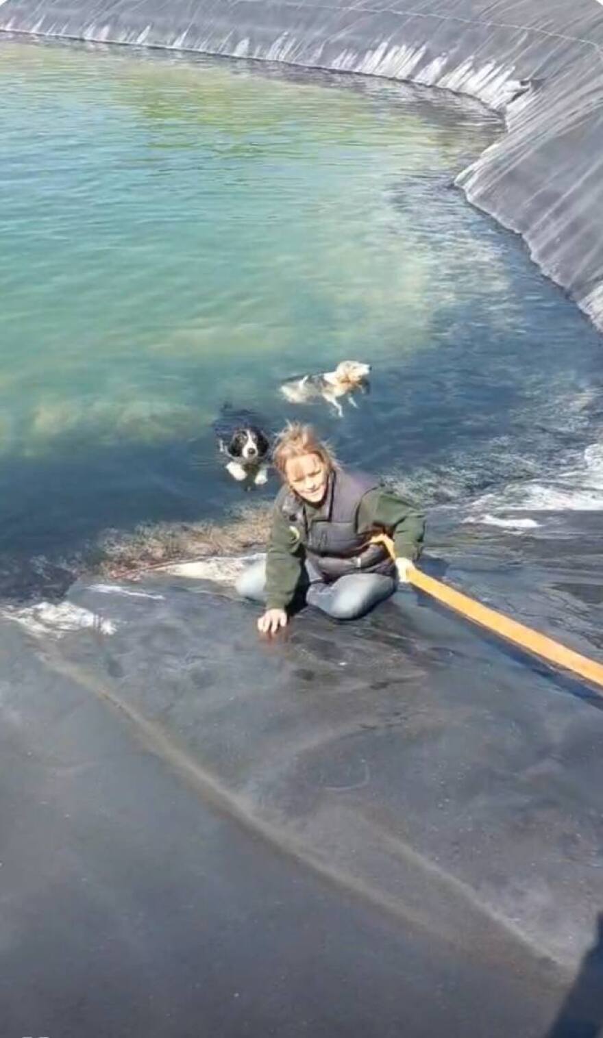 Διάσωση έξι σκύλων από ταμιευτήρα άρδευσης στην Κατερίνα, δείτε βίντεο και φωτογραφίες