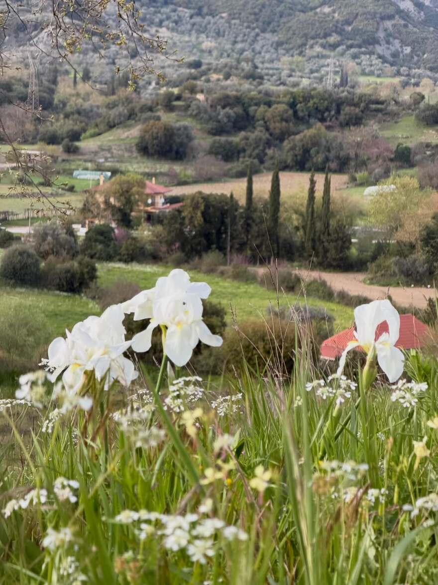 Η Ζέτα Μακρυπούλια ποζάρει στο χωριό της στο Αγρίνιο: Τα τελευταία χρόνια επέστρεψα στις ρίζες μου 
