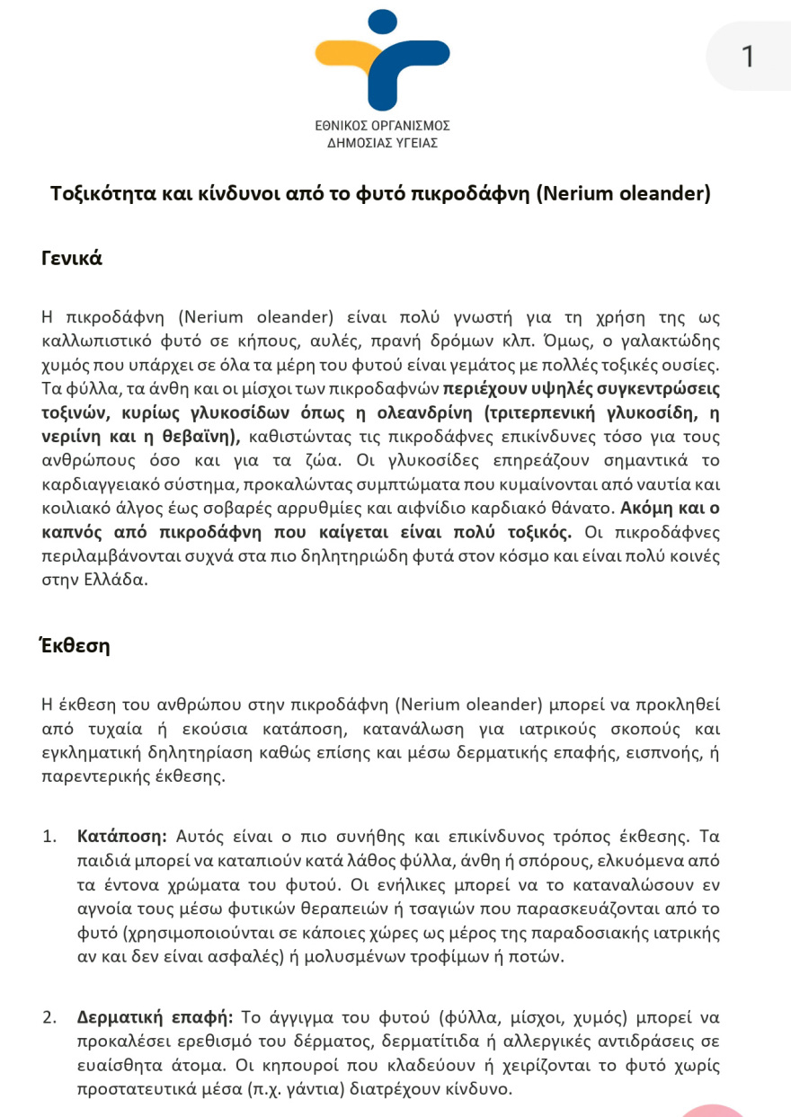 Πόλεμος για το «ξήλωμα» της πικροδάφνης από σχολεία, πεζοδρόμια και πλατείες - Αντιδρούν περιβαλλοντολόγοι, επιμένουν οι γιατροί