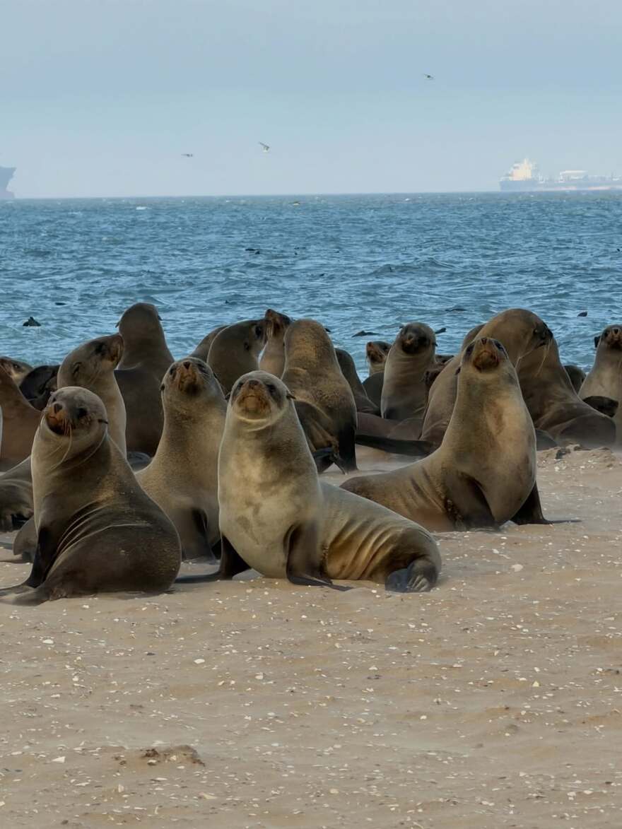 Κιάρα Φεράνι για το ταξίδι της στη Ναμίμπια: Έφαγα σπιτικά λαζάνια στη μέση της ερήμου
