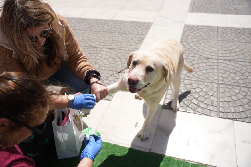 Η μεγάλη γιορτή του topetmou.gr για τα ζώα συντροφιάς στην Καλλιθέα