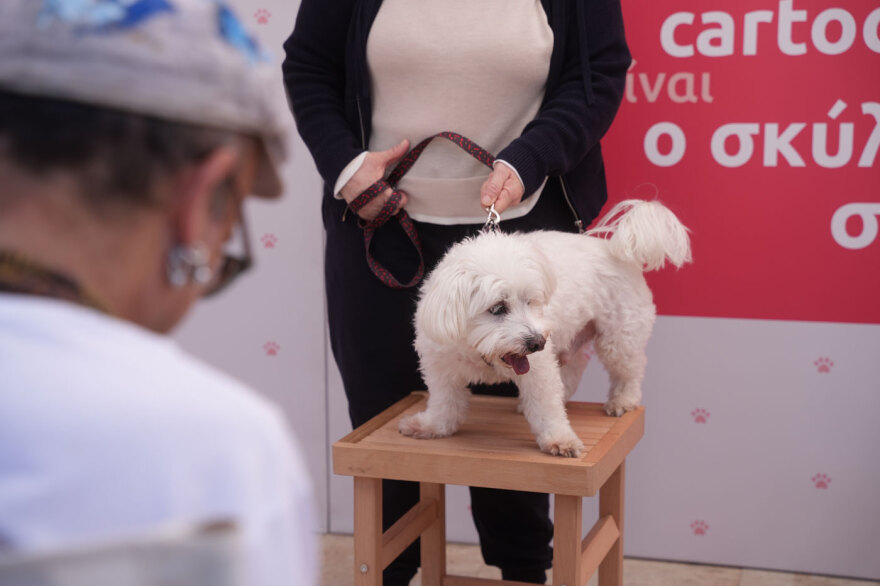 Η μεγάλη γιορτή του topetmou.gr για τα ζώα συντροφιάς στην Καλλιθέα