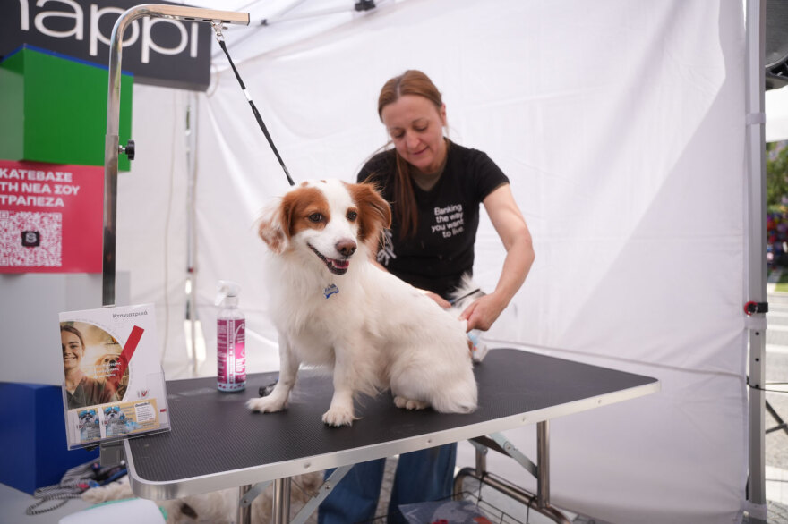 Η μεγάλη γιορτή του topetmou.gr για τα ζώα συντροφιάς στην Καλλιθέα