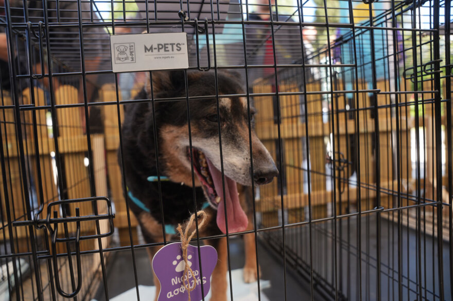 Η μεγάλη γιορτή του topetmou.gr για τα ζώα συντροφιάς στην Καλλιθέα