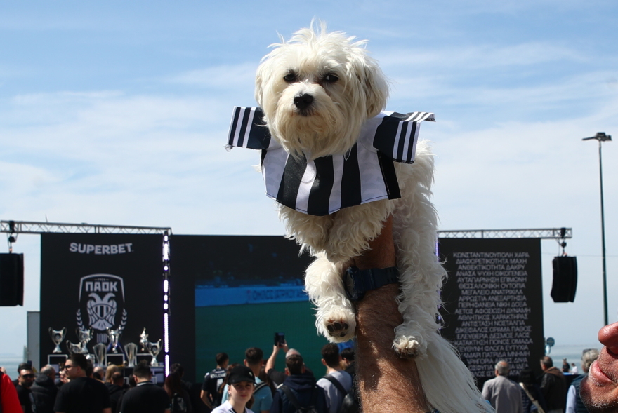 ΠΑΟΚ: Ξεκίνησε η γιορτή για τα 100 χρόνια, στην Αριστοτέλους τα τρόπαια