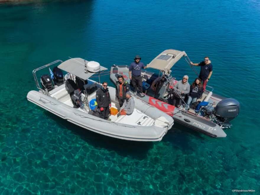 Η μεγάλη μέρα έφτασε, η μικρή φώκια με το όνομα Καλυψώ επέστρεψε, υγιής και δυνατή, στην ανοιχτή θάλασσα