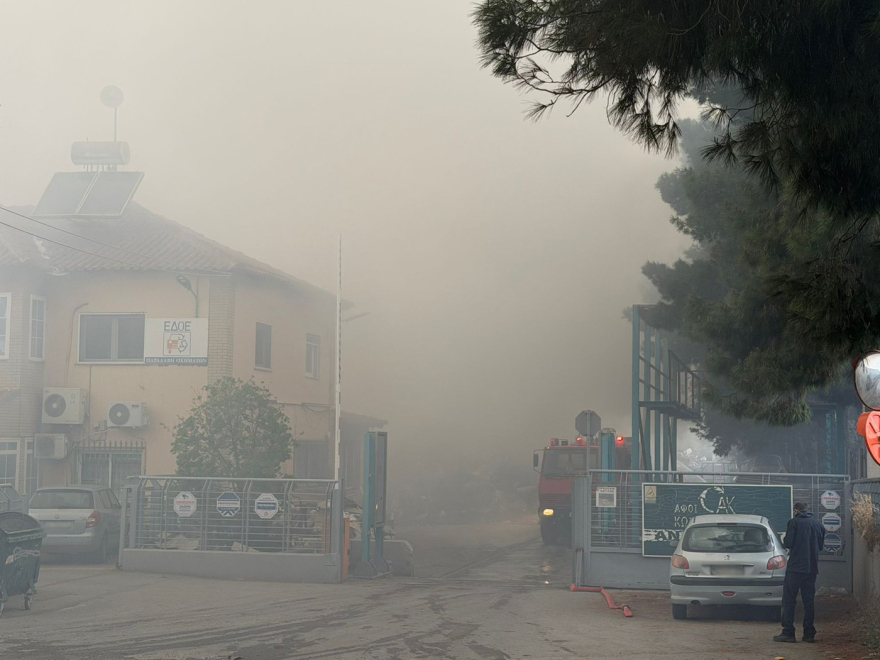Φωτιά σε εταιρεία ανακύκλωσης στο Ωραιόκαστρο, ήχησε το 112 για τους καπνούς - «Μείνετε σε εσωτερικούς χώρους, κλείστε πόρτες και παράθυρα»