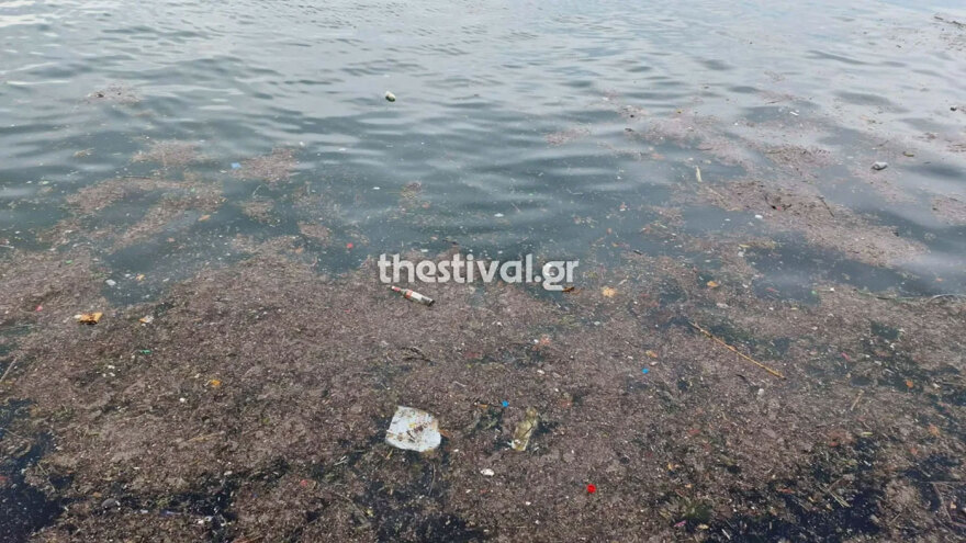 Γέμισε σκουπίδια ο Θερμαϊκός, επιπλέουν μέχρι και... ηλεκτρικά πατίνια δείτε βίντεο και φωτογραφίες