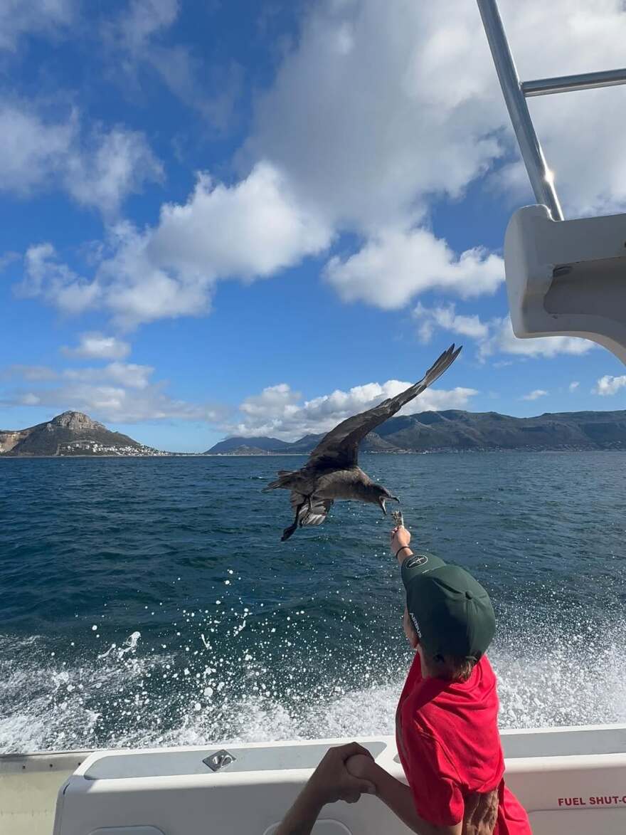 Η Μαριέττα Χρουσαλά κολύμπησε με λευκούς καρχαρίες