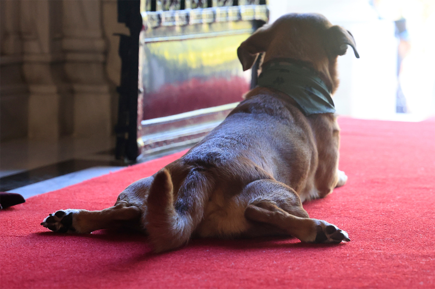 Ο Μακρόν παίζει με τον Πίνατ στο Μαξίμου, δείτε φωτογραφίες
