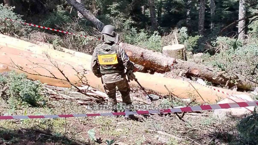 Ξυλοκόποι εντόπισαν χειροβομβίδα σε δάσος  έξω από το χωριό Νόστιμο Ευρυτανίας