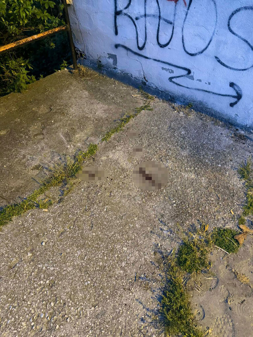 Θεσσαλονίκη: Η στιγμή που ακούγεται ο πυροβολισμός προς τον 28χρονο Τούρκο και σφαδάζει από τον πόνο, δείτε βίντεο