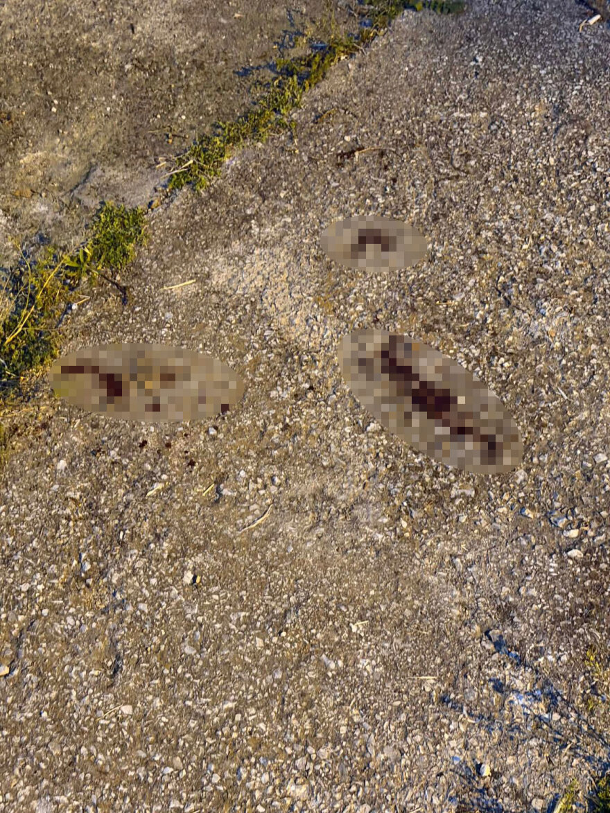 Θεσσαλονίκη: Η στιγμή που ακούγεται ο πυροβολισμός προς τον 28χρονο Τούρκο και σφαδάζει από τον πόνο, δείτε βίντεο