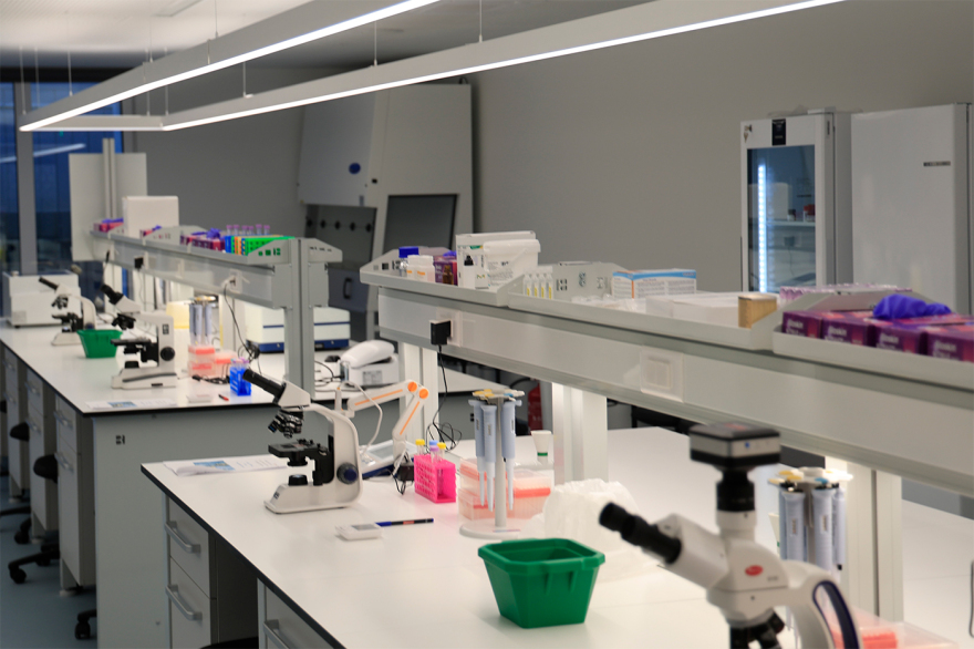 Μητσοτάκης στα εγκαίνια του πανεπιστημίου Λευκωσίας στην Αθήνα: Σημαντικό βήμα, επόμενο η αναθεώρηση του άρθρου 16 του Συντάγματος