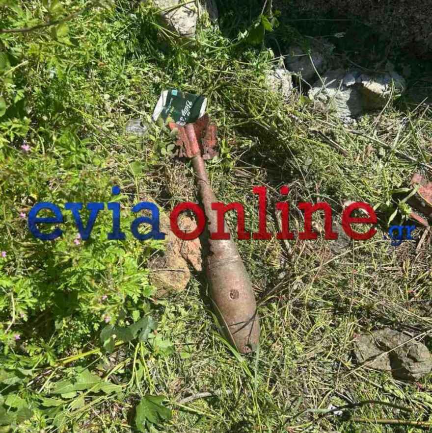 Εύβοια: Καθάριζαν ένα οικόπεδο και βρήκαν... στρατιωτικές ρουκέτες ανάμεσα στα χόρτα