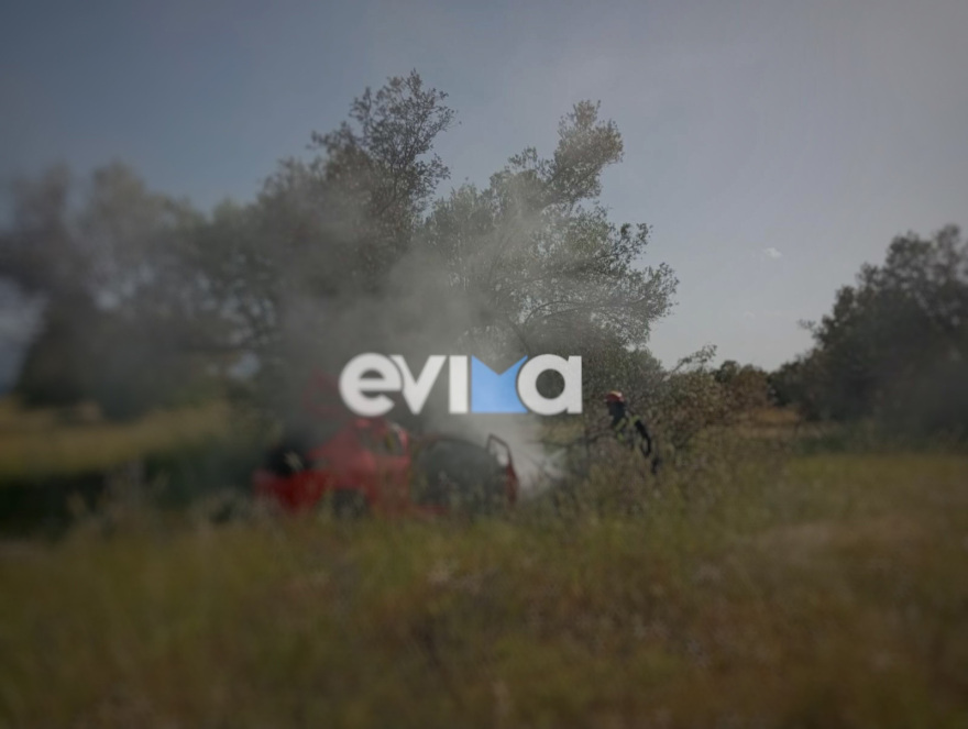 Σοβαρό τροχαίο στην Ερέτρια, αυτοκίνητο έπεσε πάνω σε δέντρο και έπιασε φωτιά 