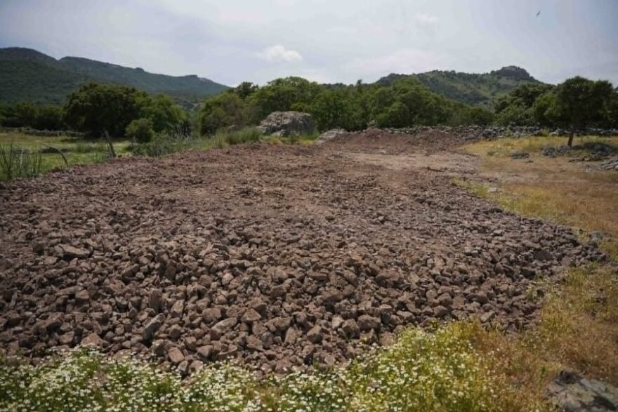 Καταγγελίες για ανεξέλεγκτες ταφές ζώων στη Λέσβο λόγω αφθώδους πυρετού, μεταφέρονται με ανοιχτά φορτηγά