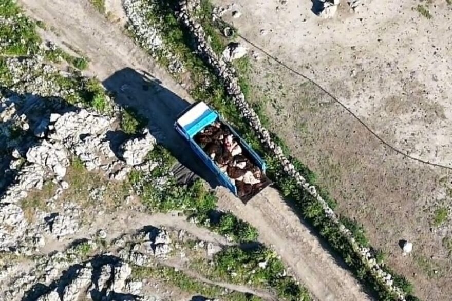 Καταγγελίες για ανεξέλεγκτες ταφές ζώων στη Λέσβο λόγω αφθώδους πυρετού, μεταφέρονται με ανοιχτά φορτηγά