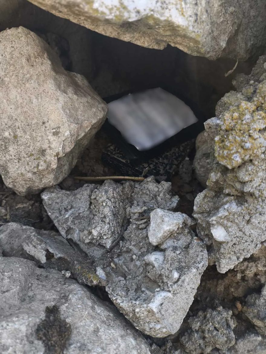 Εξαρθρώθηκε κύκλωμα διακίνησης ναρκωτικών στις Σέρρες με συμμετοχή της «Roxy», μεταξύ των συλληφθέντων και ανήλικοι
