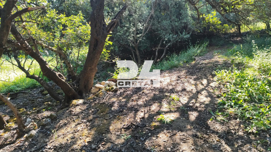 «Είναι σχεδόν αδύνατη η πρόσβαση στο σημείο»: Πώς εντοπίστηκε η σορός του 33χρονου γιατρού που αγνοούνταν από τον Δεκέμβριο