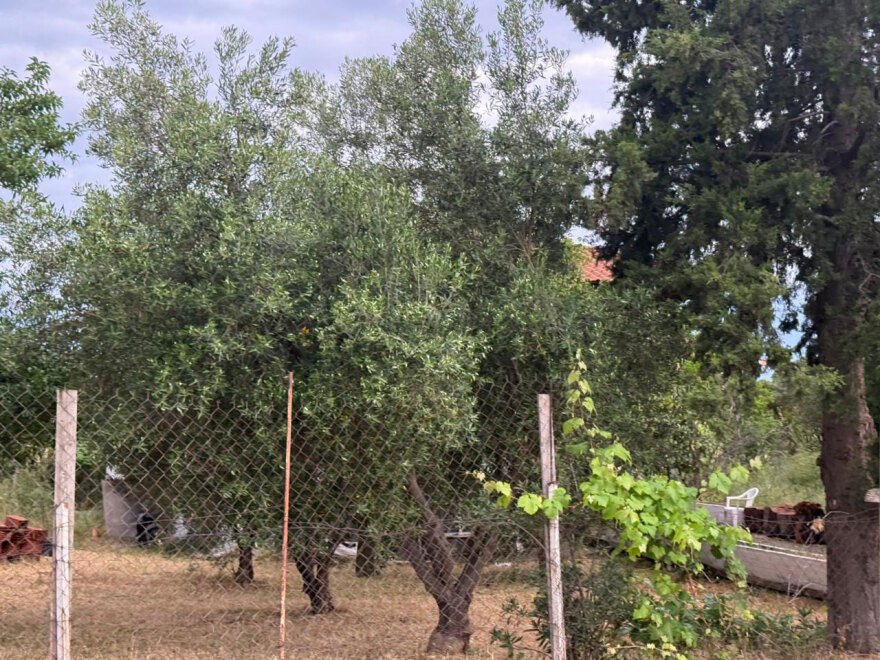 Οικογενειακό δράμα στη Θεσσαλονίκη: Πώς σκότωσε ο 30χρονος τον 67χρονο πατέρα του, τα ευρήματα στο σπίτι του φονικού