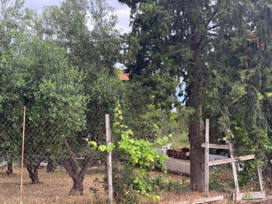 Οικογενειακό δράμα στη Θεσσαλονίκη: Πώς σκότωσε ο 30χρονος τον 67χρονο πατέρα του, τα ευρήματα στο σπίτι του φονικού