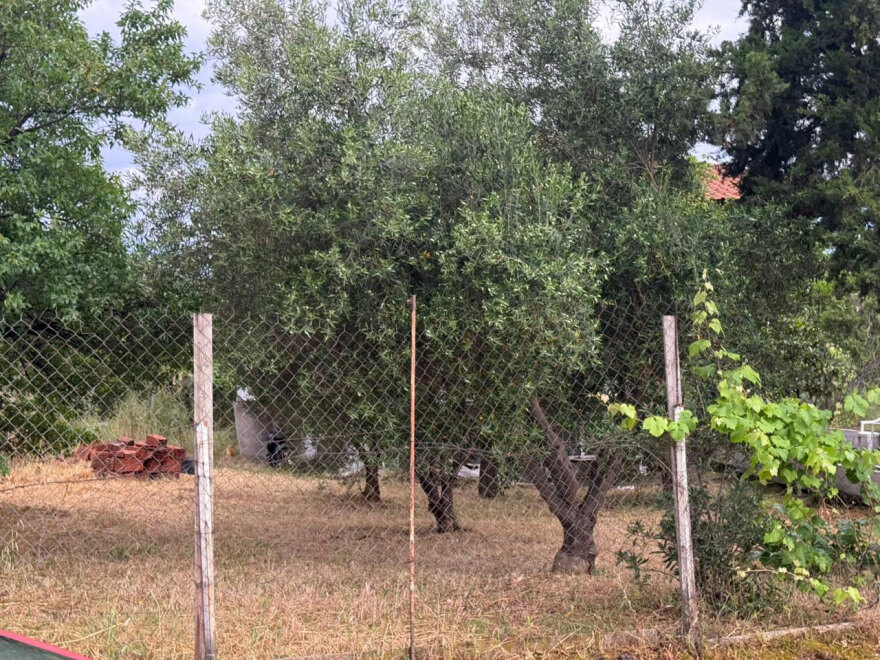Οικογενειακό δράμα στη Θεσσαλονίκη: Πώς σκότωσε ο 30χρονος τον 67χρονο πατέρα του, τα ευρήματα στο σπίτι του φονικού