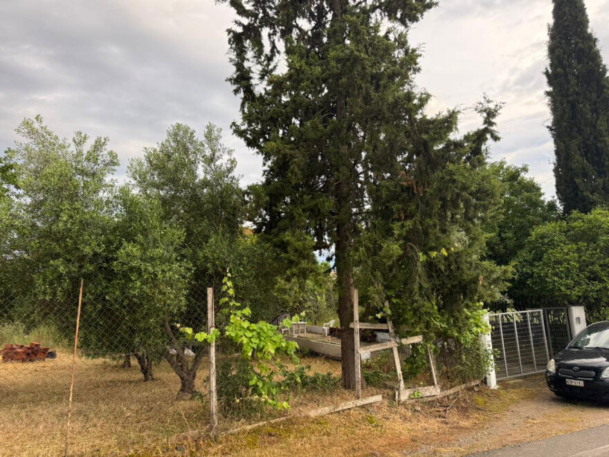 Οικογενειακό δράμα στη Θεσσαλονίκη: Πώς σκότωσε ο 30χρονος τον 67χρονο πατέρα του, τα ευρήματα στο σπίτι του φονικού