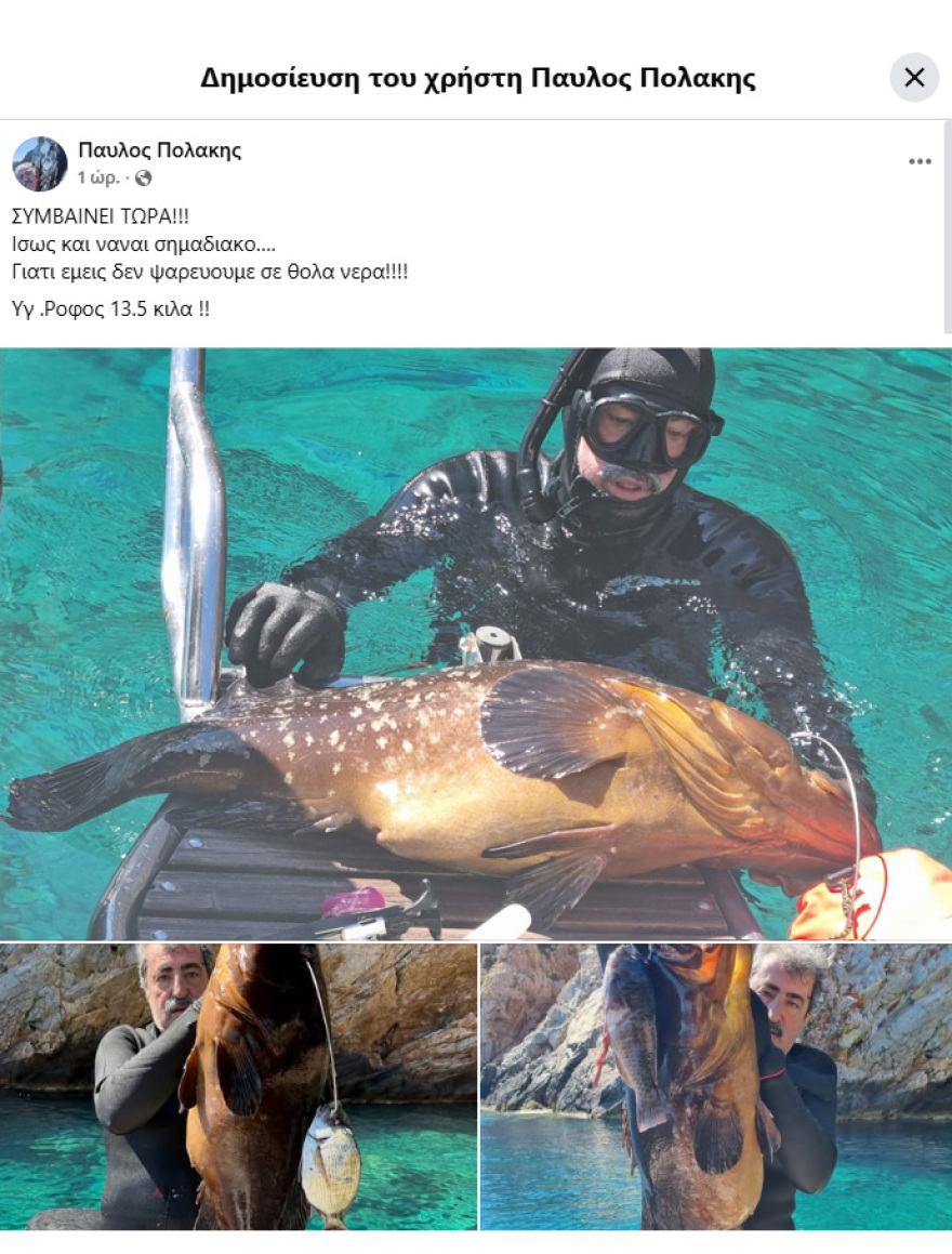Ο Παύλος Πολάκης στέλνει μήνυμα στον Τσίπρα με... ροφό 13,5 κιλών: «Εμείς δεν ψαρεύουμε σε θολά νερά»